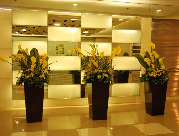 酒店花卉